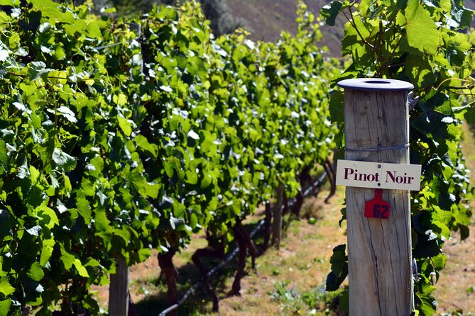 Queenstown Gin, Wine & Beer Tour | Adults Only - Tour Conditions