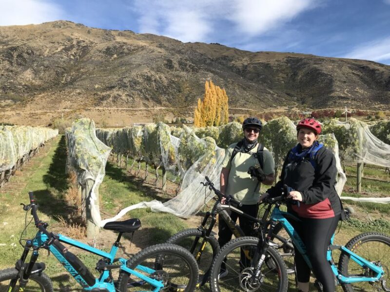 Queenstown: Guided E-Bike Tour With Winery Visits & Tastings - Itinerary Highlights