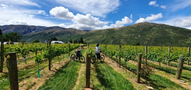 Queenstown: Guided E-Bike Tour With Winery Visits & Tastings - Experience Details