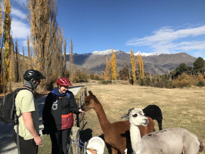 Queenstown: Guided E-Bike Tour With Winery Visits & Tastings - Customer Feedback and Testimonials