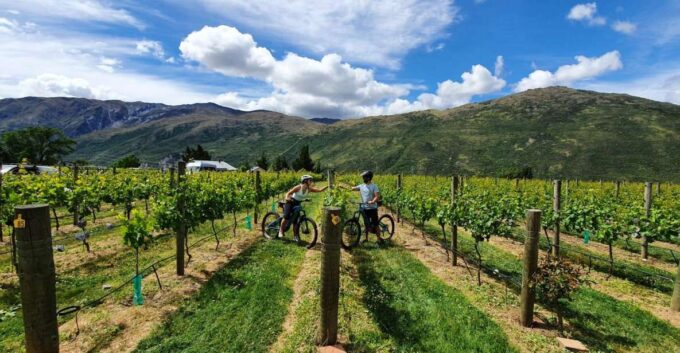 Queenstown: Guided E-Bike Tour With Winery Visits & Tastings - Recap
