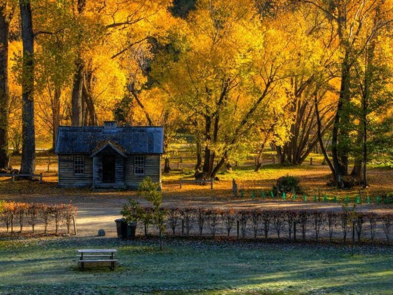 Queenstown: Highlights Tour with Wine Tasting - An In-Depth Look at the Queenstown Highlights Tour