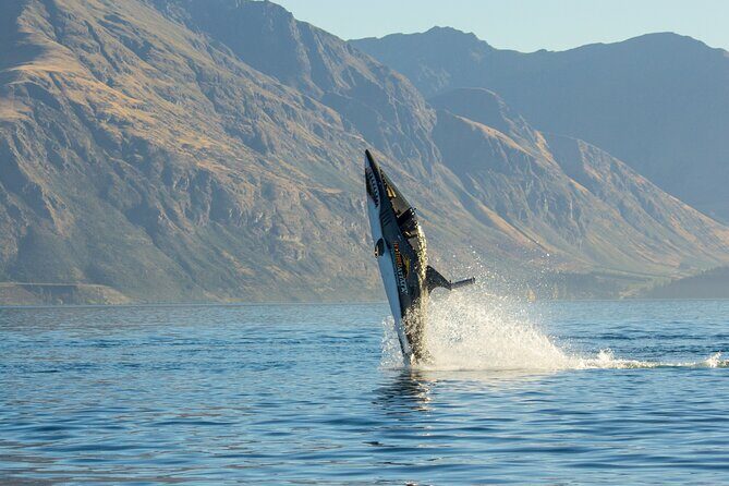 Queenstown Hydro Attack Shark Ride Adventure - FAQs