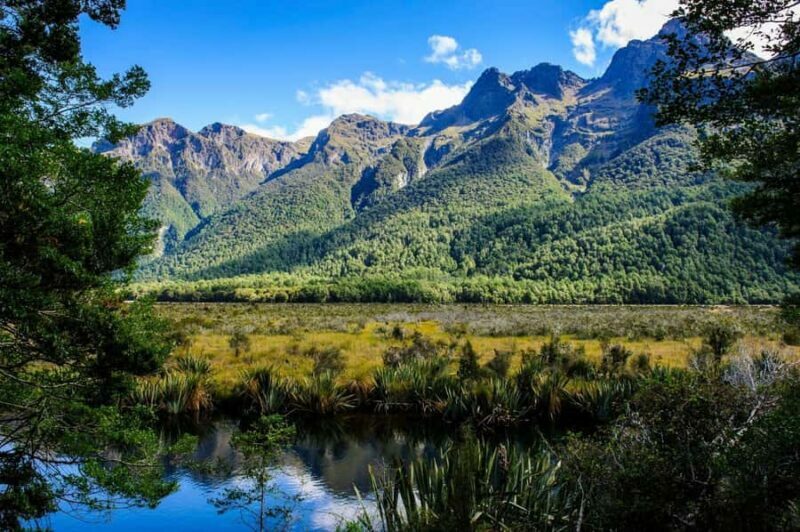Queenstown: Milford Sound Private Tour - Arriving at Milford Sound: Nature’s Grand Finale