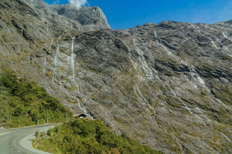 Queenstown: Milford Sound Private Tour - Analyzing the Experience: Is It Worth It?