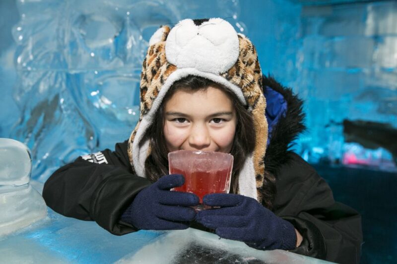 Queenstown: Minus 5 Ice Bar Experience With Drink Options - Key Points