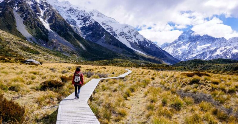 Queenstown: Mount Cook Premium Guided Day Tour - Included Access