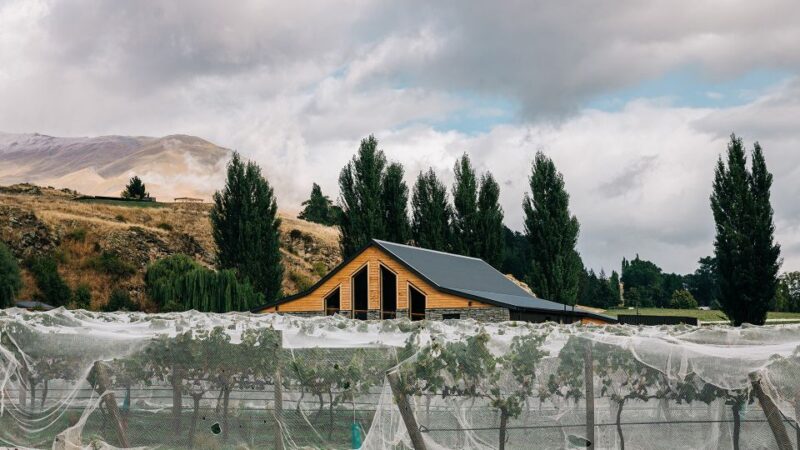 Queenstown: Pinot Noir Wine Tasting Experience - Pricing and Reservation Details