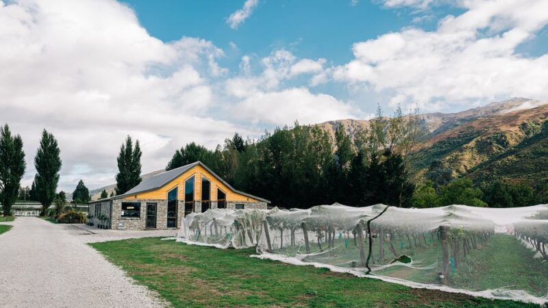 Queenstown: Premium Central Otago Wine Tasting Experience - Educational Component