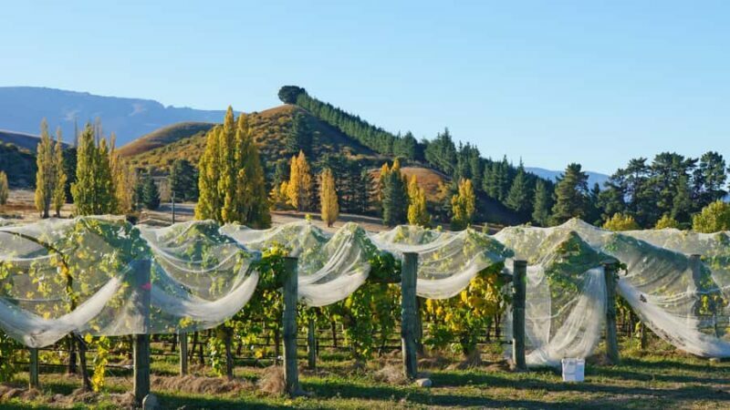 Queenstown: Private 3 Days Trip to Glenorchy Wanaka & Tekapo - Final Thoughts