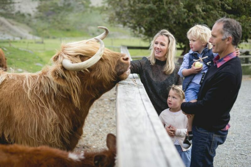 Queenstown: Queenstown Lake Cruise and Walter Peak Farm Tour - Who Will Love This Tour?