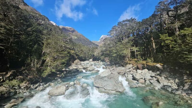 Queenstown: Routeburn Track Guided Full-Day Walk or Half Day - Key Points