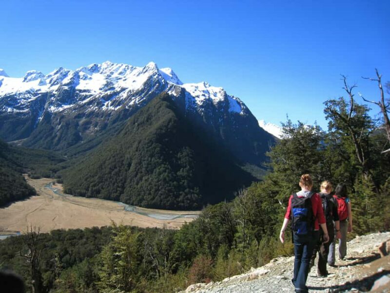 Queenstown: Routeburn Track Guided Full-Day Walk or Half Day - An In-Depth Look at the Routeburn Track Guided Walks