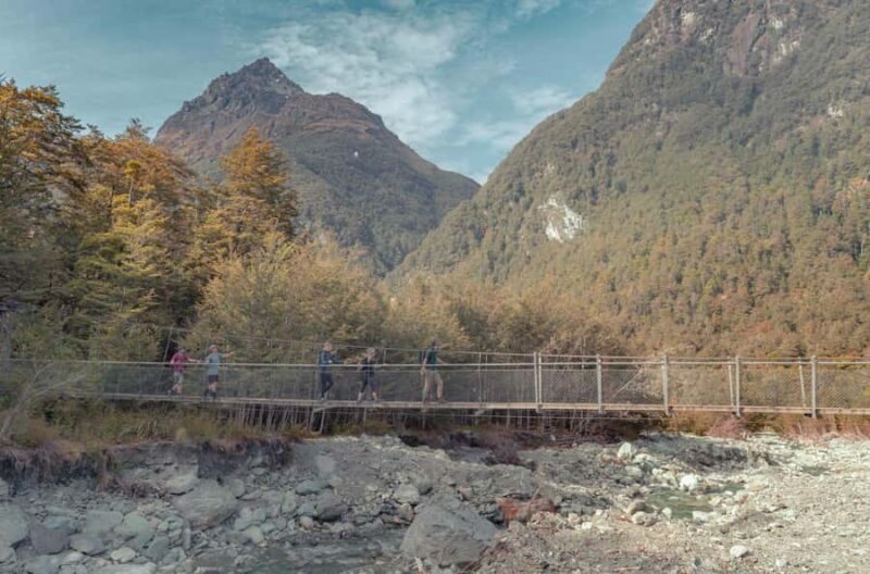 Queenstown: Routeburn Track Guided Full-Day Walk or Half Day - Analyzing the Experience: Who Will Love It?