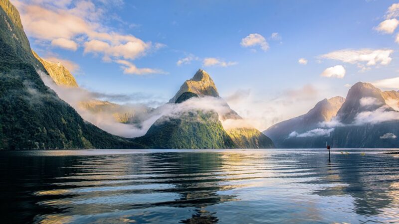 Queenstown: Small-Group Tour to Milford Sound With Cruise - Pickup and Drop-off Details