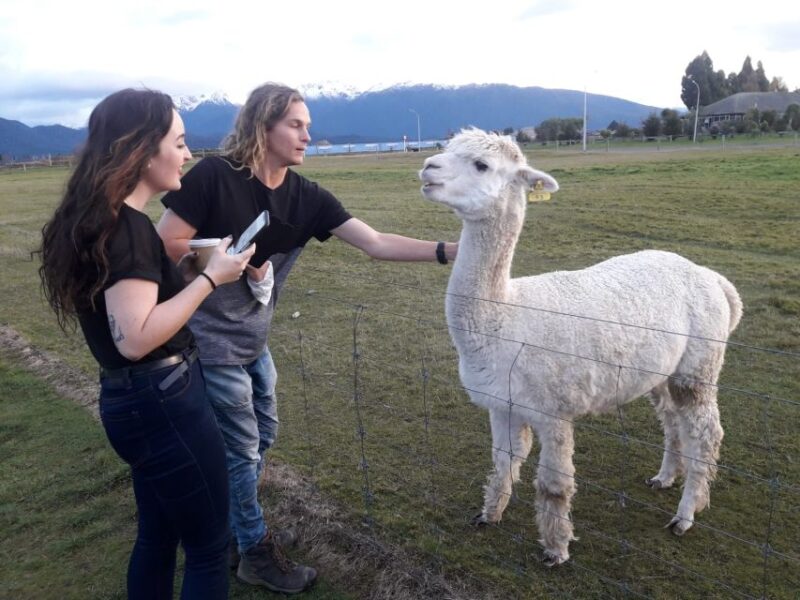Queenstown: Small-Group Tour to Milford Sound With Cruise - Tour Experience and Guide