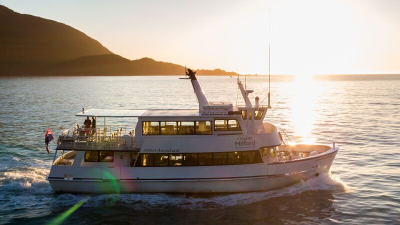 Queenstown: Small-Group Tour to Milford Sound With Cruise - Scenic Views and Wildlife