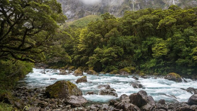 Queenstown: Small-Group Tour to Milford Sound With Cruise - Milford Sound Cruise and Dolphin Watching