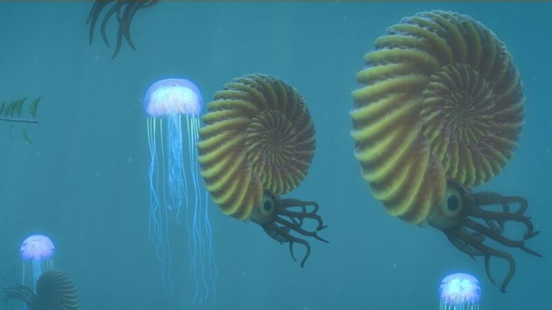 Queenstown: Time Tripper Underwater Experience - Key Points