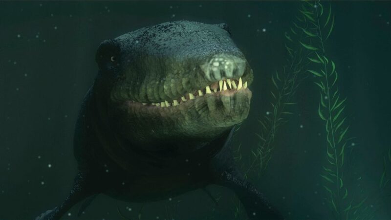 Queenstown: Time Tripper Underwater Experience - Booking Information