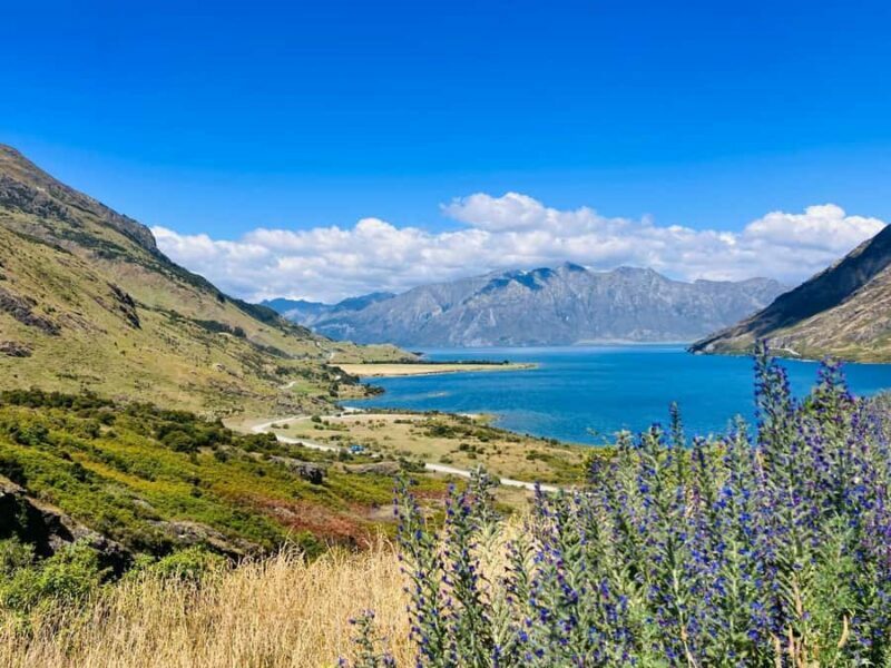 Queenstown to Christchurch via Franz Josef 2-Day Tour - The Sum Up: Is It Worth It?
