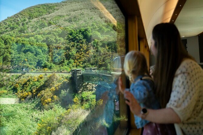 Queenstown to Dunedin with Taieri Gorge Train One-Way Tour - An In-Depth Look at the Experience