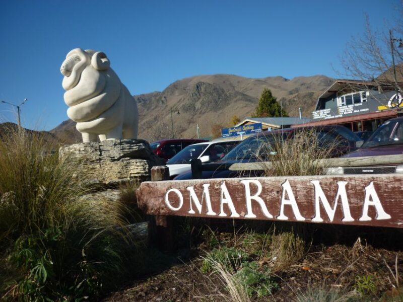 Queenstown to Mt Cook (1 Way) Tour - Itinerary Highlights