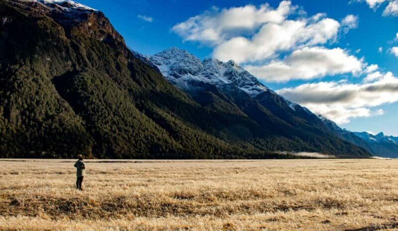 Queenstown to Te Anau via Milford Sound inc Cruise & Lunch - Authentic Experiences and Genuine Feedback