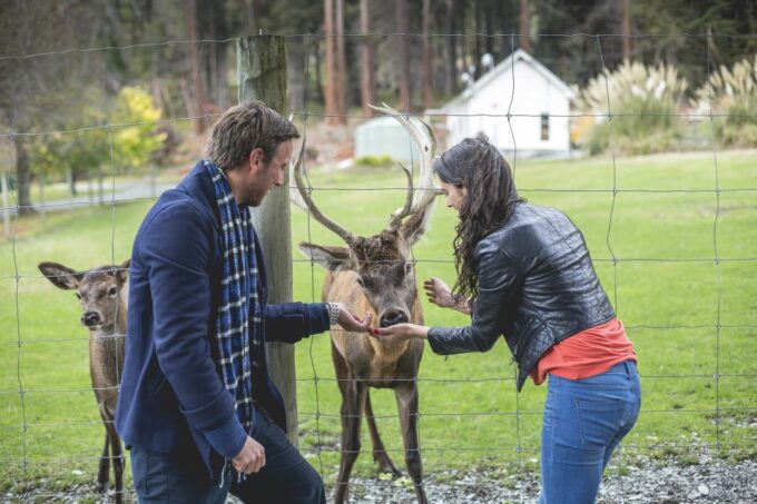 Queenstown: TSS Earnslaw Cruise and Walter Peak Farm Tour - Booking and Cancellation Policy