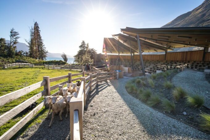 Queenstown: TSS Earnslaw Cruise and Walter Peak Farm Tour - Recap