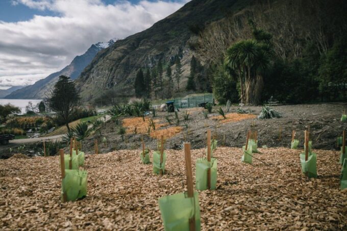 Queenstown: TSS Earnslaw Cruise & Walter Peak Eco Experience - Visitor Tips