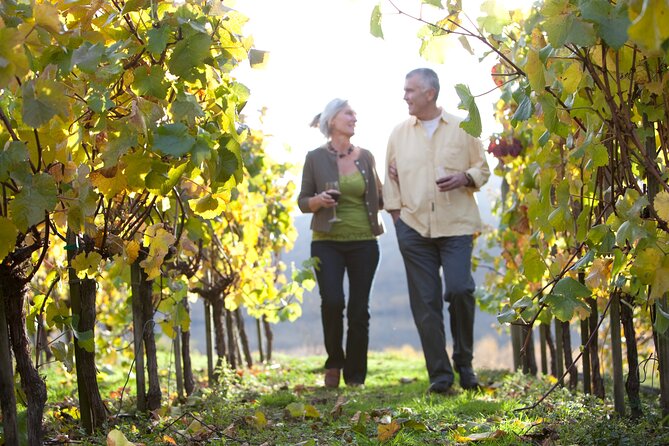 Queenstown VIP Wine Drop and Hop Tour - Winery Highlights