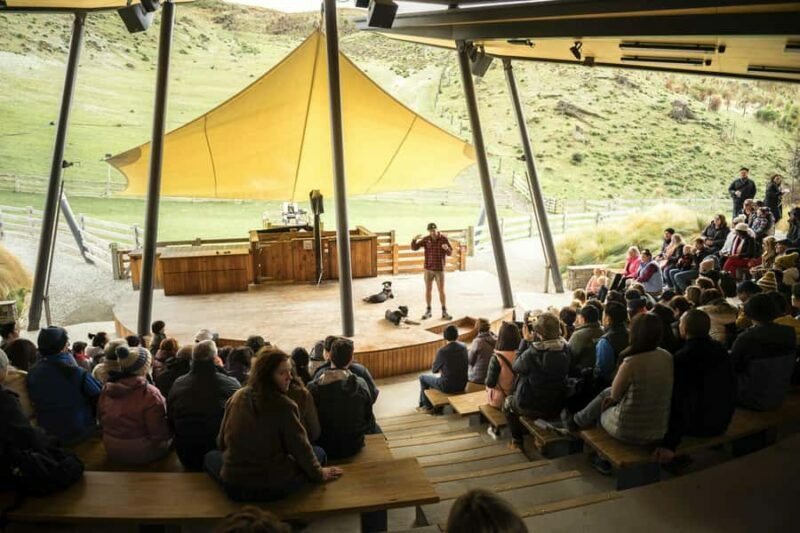 Queenstown: Walter Peak Farm Tour and Lake Cruise - Queenstown: Walter Peak Farm Tour and Lake Cruise — A Practical, Authentic Experience in New Zealand’s South Island