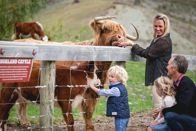 Queenstown: Walter Peak Farm Tour and Lake Cruise - An All-Around Look at the Experience