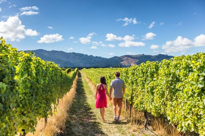 Queenstown Wine and Cardrona Distillery (Private Tour) - Additional Information