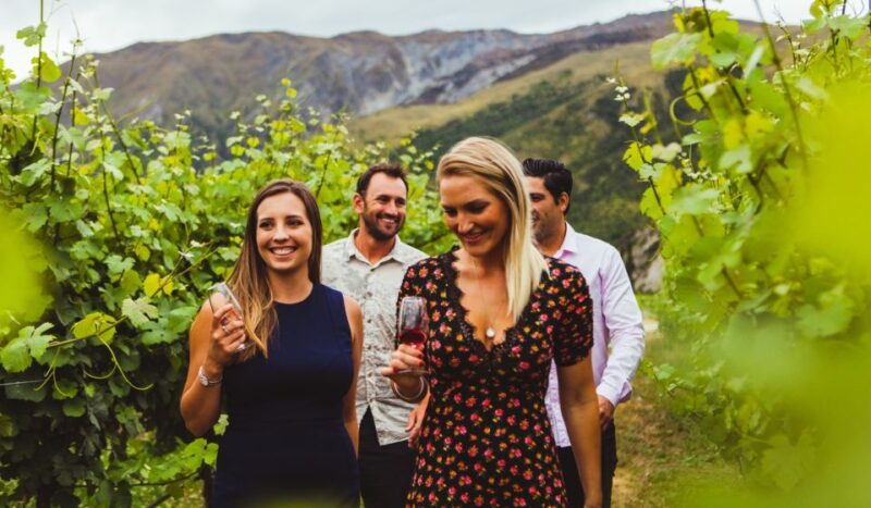 Queenstown: Wine Tasting Tour - Customer Reviews