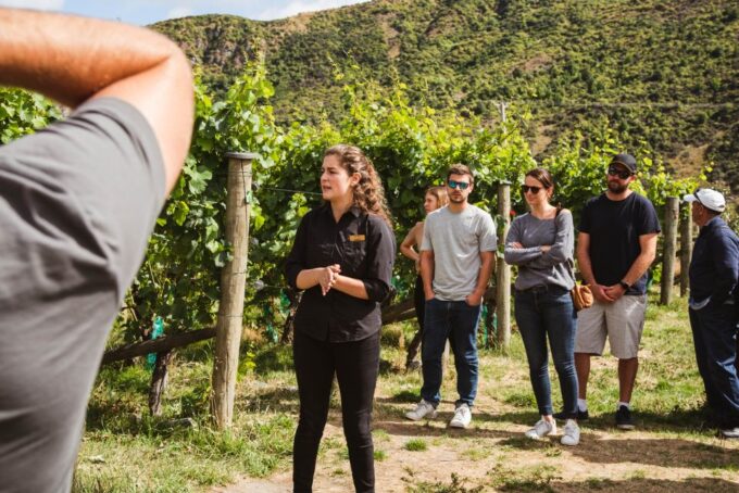 Queenstown: Wine Tasting Tour - Wine Tasting Experience