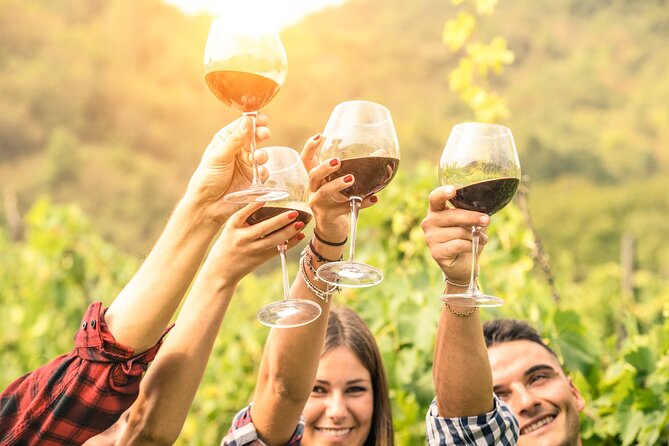 Queenstown Wine Tour With Wine Dog | Adults Only - Key Points