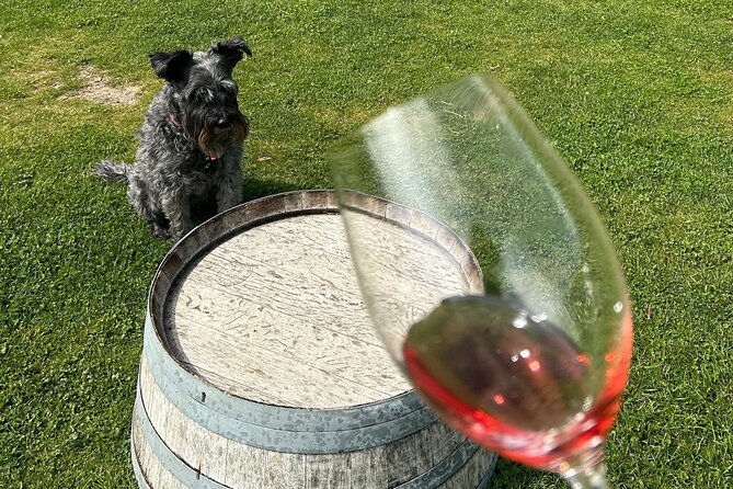 Queenstown Wine Tour With Wine Dog | Adults Only - Guest Experiences and Reviews