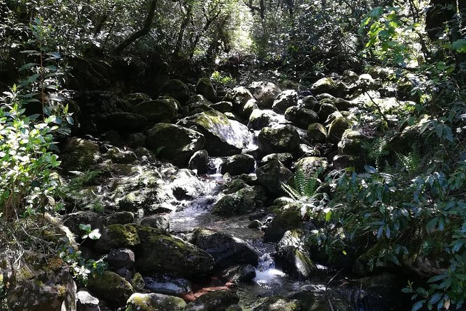 Queimadas-Caldeirão Verde - Health and Accessibility
