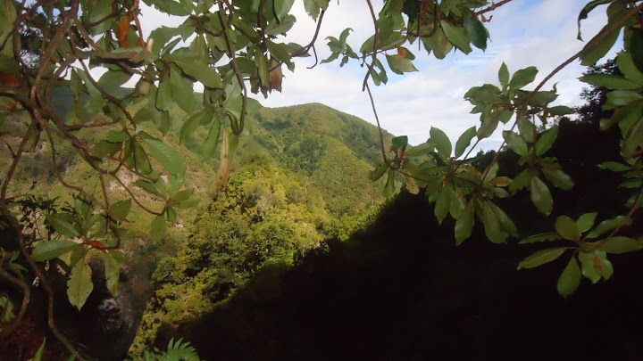 Queimadas Natural Park 5-Hour Guided Hike - Pickup and Transport