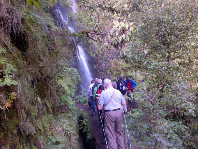 Queimadas Natural Park 5-Hour Guided Hike - Customer Feedback