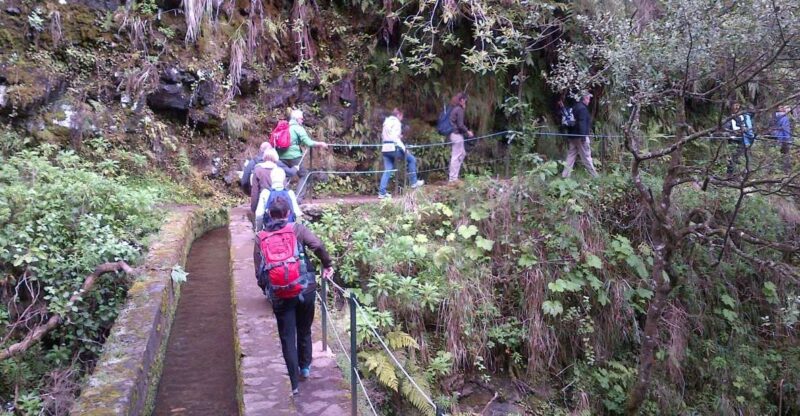 Queimadas Natural Park 5-Hour Guided Hike - Itinerary Highlights