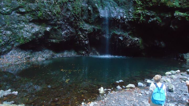 Queimadas Natural Park 5-Hour Guided Hike - Pickup and Transport
