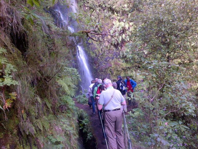 Queimadas Natural Park 5-Hour Guided Hike - Guided Experience