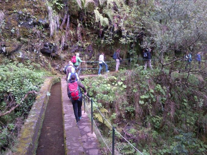 Queimadas Natural Park 5-Hour Guided Hike - Customer Feedback