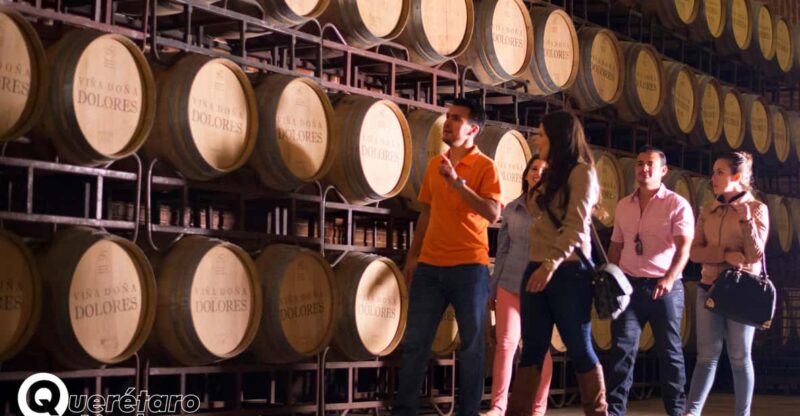 Querétaro: Art, Cheese and Wine Route - Exploring the Wine Region