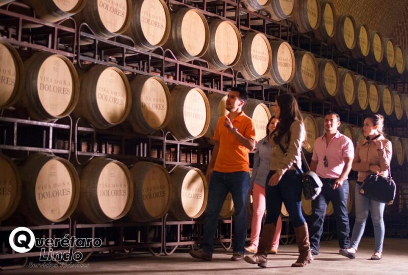 Querétaro: Art, Cheese and Wine Route - Cheese Tasting Experience