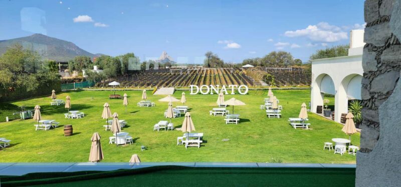 Querétaro: Bernal & Tequisquiapan Trip with Wine & Cheese - Final Thoughts