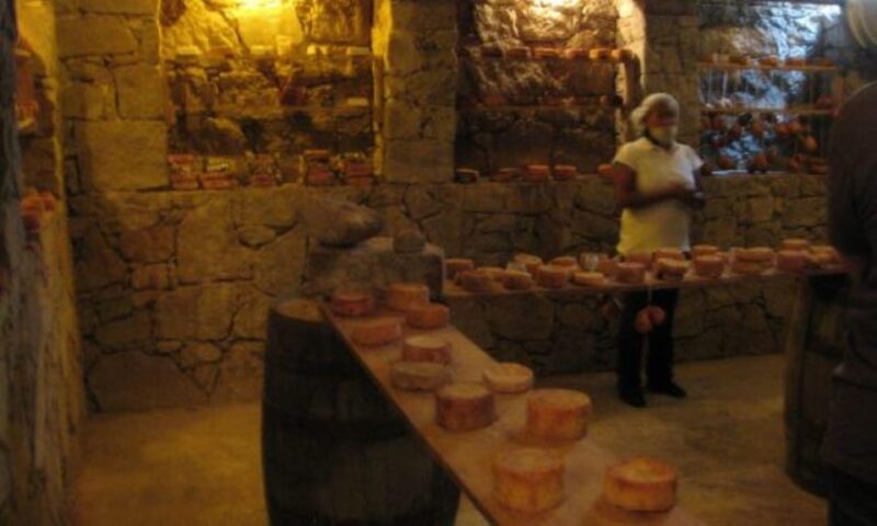 Querétaro: Cheese and Wine Tasting Tour - Experience Highlights
